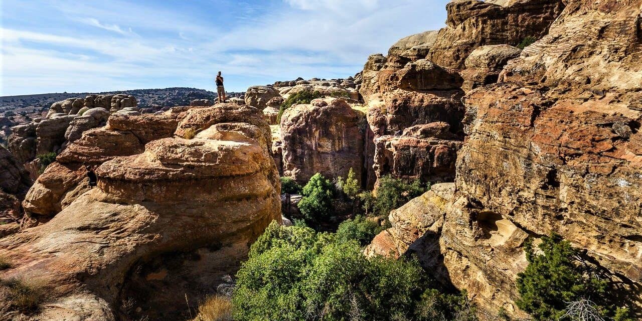 The Dana Biosphere Reserve